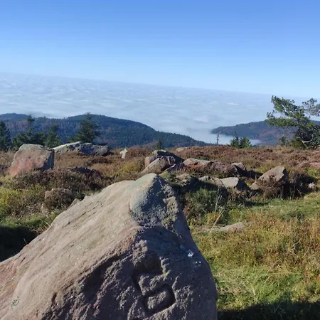 Naturblick